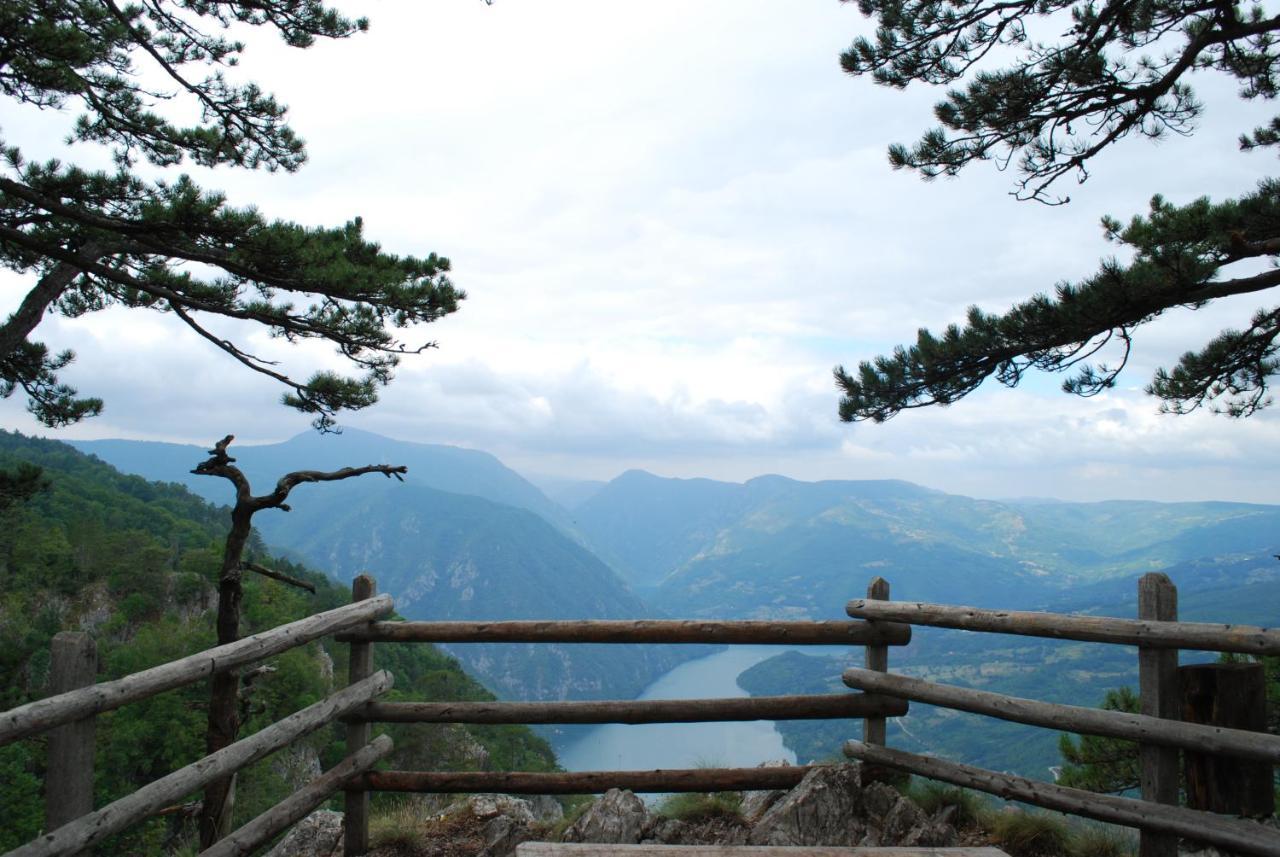 Tarski Dom Zaovine Zewnętrze zdjęcie